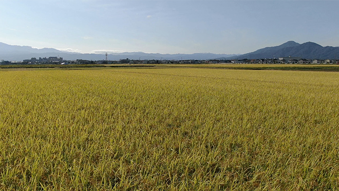 ＃25　水田 水鏡が美しい！日本の原風景と一体化した水田ホテル