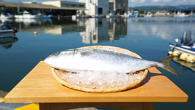 ＃28　革製品 魚の皮が「革」に！海から生まれたフィッシュレザー