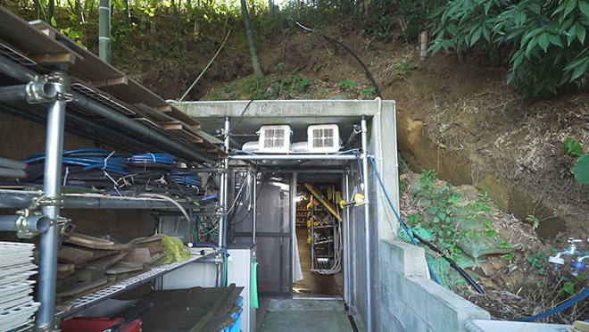 ＃32　キノコ栽培 コンクリートを活用したキクラゲ栽培システム