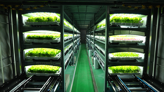 ＃38　地下空間 未使用の共同溝で野菜作り！全自動植物工場