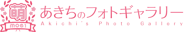 moe1 あきちのフォトギャラリー