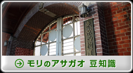 モリのアサガオ 豆知識