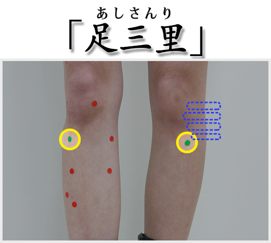 足三里（あしさんり）
