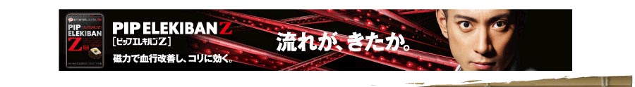 ピップエレキバンＺ
