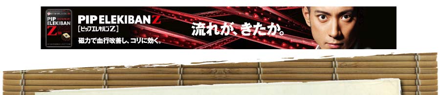 ピップエレキバンＺ