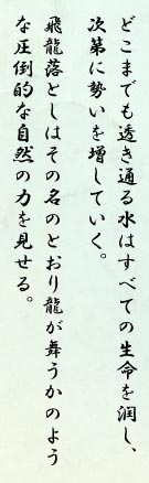 どこまでも透き通る水はすべての生命を潤し、次第に勢いを増していく。飛龍落としはその名のとおり龍が舞うかのような圧倒的な自然の力を見せる。