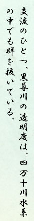 支流のひとつ、黒尊川の透明度は、四万十川水系の中でも群を抜いている。