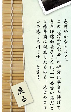 色鮮やかなヒスイ。この”渓流の宝石”の研究に半生を捧げてきた伊藤加奈子さんは、「一番古い石だと５億年前に誕生したものも。太古のロマンを感じる川です」と言う。