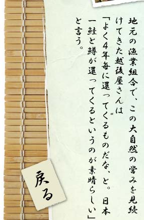 地元の漁業組合で、この大自然の営みを見続けてきた越後屋さんは「よく４年毎に還ってくるものだな、と。日本一鮭と鱒が還ってくるというのが素晴らしい」と言う。