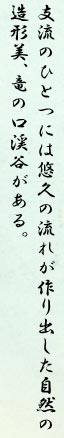 支流のひとつには悠久の流れが作り出した自然の造形美、竜の口渓谷がある。