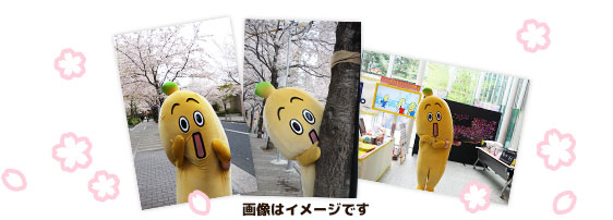 ナナナがみなさまにご挨拶
