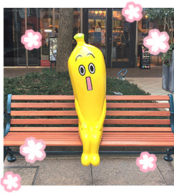 ナナナベンチでひとやすみ！