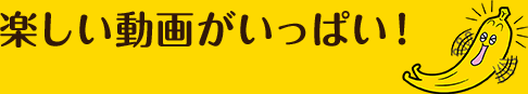 楽しい動画がいっぱい！