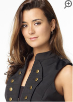 イスラエル連絡将校　ジヴァ・ダヴィード(コート・デ・パブロ) 世界でも屈指の諜報機関 モサドからNCISに派遣された。