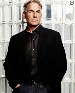 NCIS捜査官 リロイ・J・ギブス(マーク・ハーモン) 絶対的なボス。現場の捜査官から恐れられている。