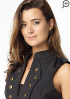 イスラエル連絡将校　ジヴァ・ダヴィード(コート・デ・パブロ) 世界でも屈指の諜報機関 モサドからNCISに派遣された。