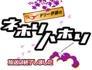 テリー伊藤のネホリハホリ