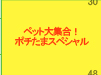 �y�b�g��W���I�|�`���܃X�y�V����