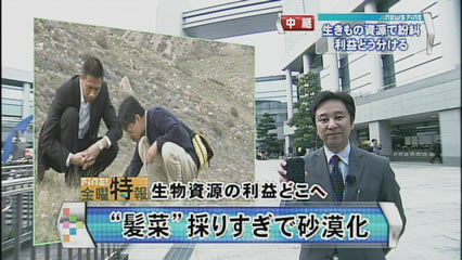 生物資源の利益どこへ 髪菜 採りすぎで砂漠化 Newsfine テレビ東京