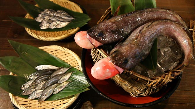 マイナーでもおいしい！“未利用魚”を活用