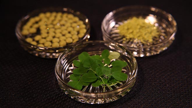 次世代のスーパーフード！”奇跡の木”モリンガとは