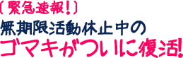 無期限活動休止中のゴマキがついに復活！