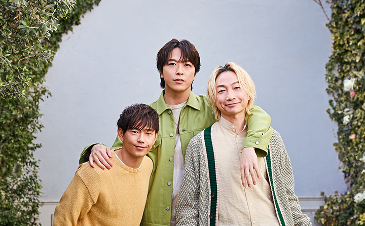ソナーポケット