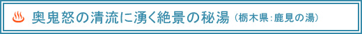 �u���S�{�̐����ɗN����i�̔铒�i�Ȗ،��E�����̓��j�v