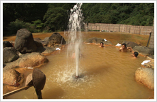 山形・広河原温泉