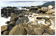 鹿児島・屋久島
