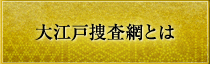 大江戸捜査網とは