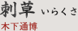 刺草 いらくさ｜木下通博