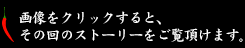 画像をクリックすると、その回のストーリーをご覧頂けます。