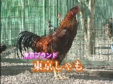 --