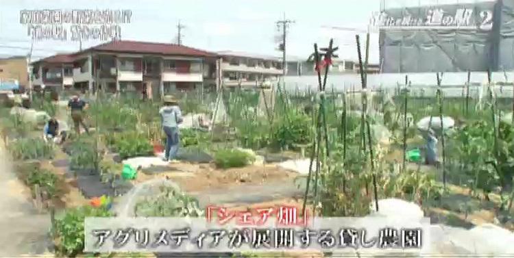 この夏に行きたい「道の駅」！　謎の名物に客殺到：ガイアの夜明け[11]