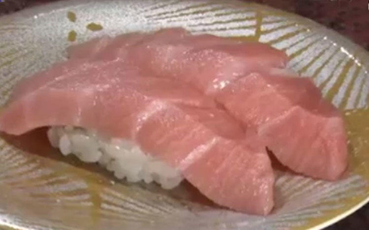 マグロが消えた」大間の漁師がピンチ追跡取材で見えた激減の謎