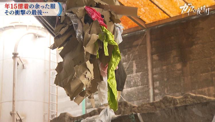 gaia_20200128_1 2.jpg