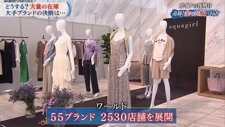 gaia_20200128_1 4.jpg