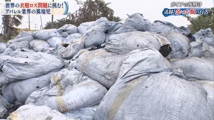 gaia_20200128_1 6.jpg