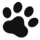 nyapan_0222_02.png