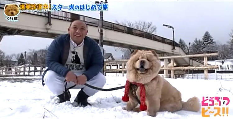dp_inu_20200304_02.jpg