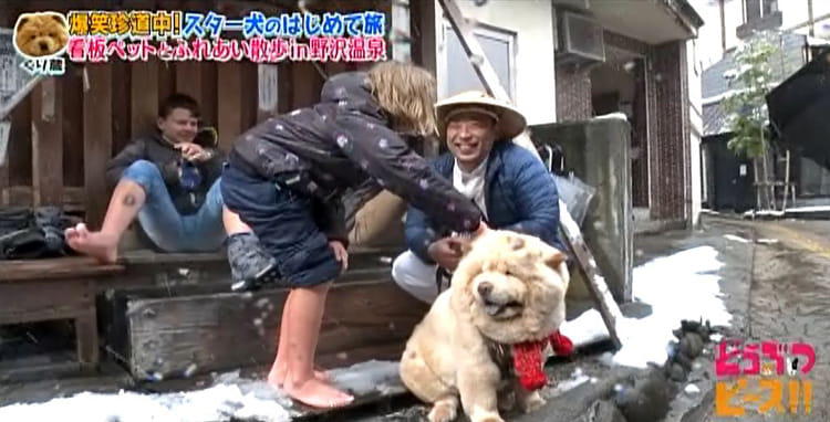 dp_inu_20200304_07.jpg