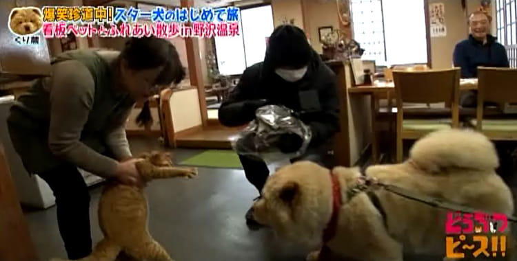 dp_inu_20200304_10.jpg