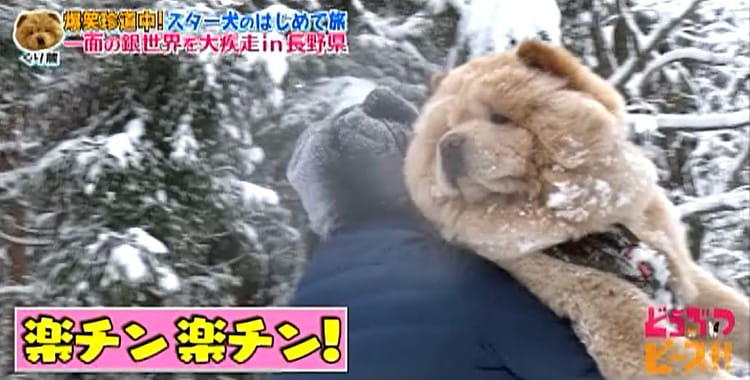 dp_inu_20200304_12.jpg