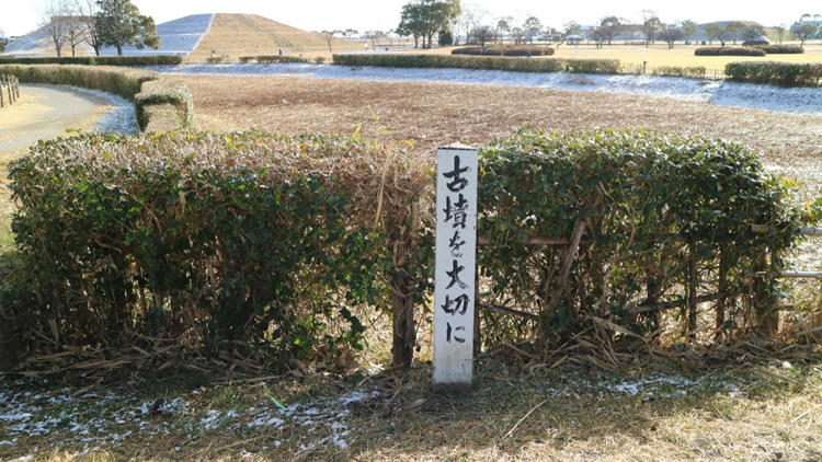 saitama_20190224_01.jpg