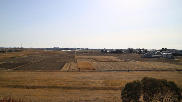 saitama_20190224_04.jpg