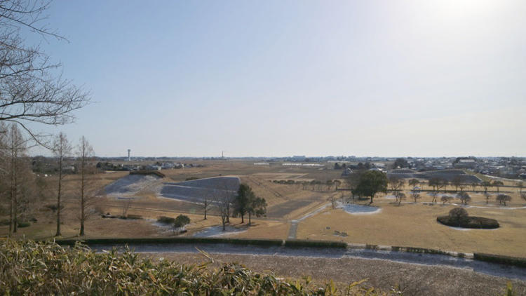 saitama_20190224_05.jpg