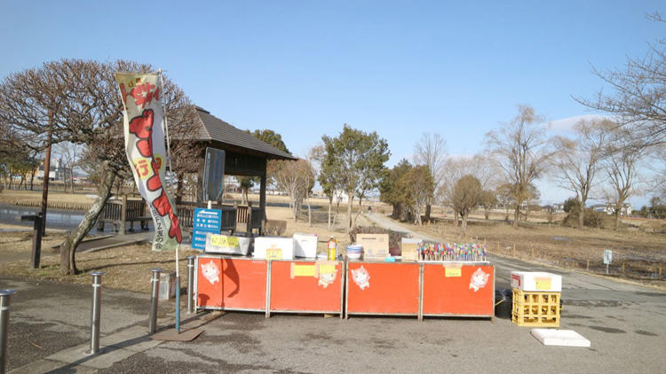 saitama_20190224_07.jpg