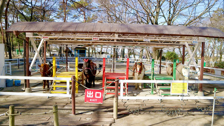 saitama_20190224_12.jpg