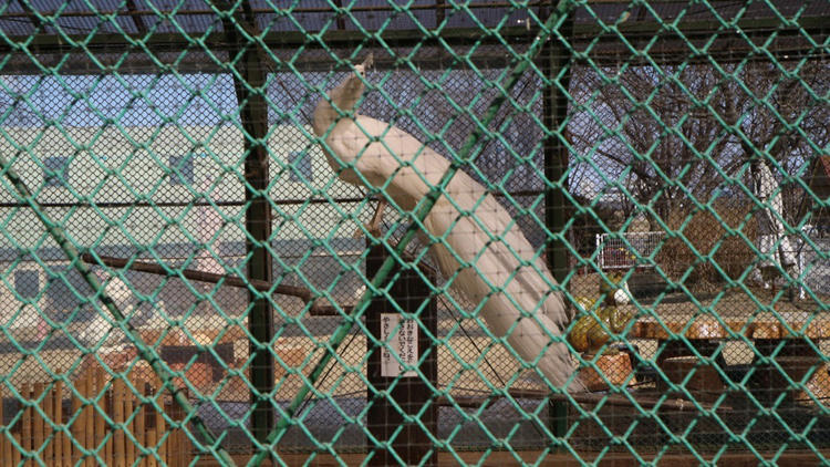 saitama_20190224_14.jpg